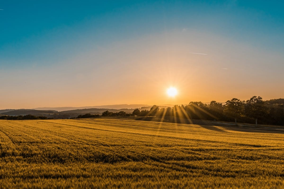 Footpath through fields